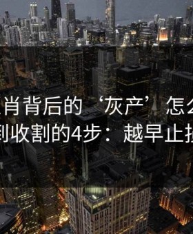 十二生肖背后的‘灰产’怎么运作：从引流到收割的4步：越早止损越省心