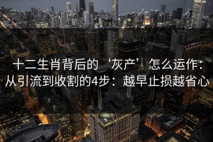 十二生肖背后的‘灰产’怎么运作：从引流到收割的4步：越早止损越省心