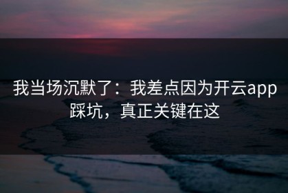 我当场沉默了：我差点因为开云app踩坑，真正关键在这
