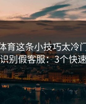 爱游戏体育这条小技巧太冷门，却能立刻识别假客服：3个快速避坑